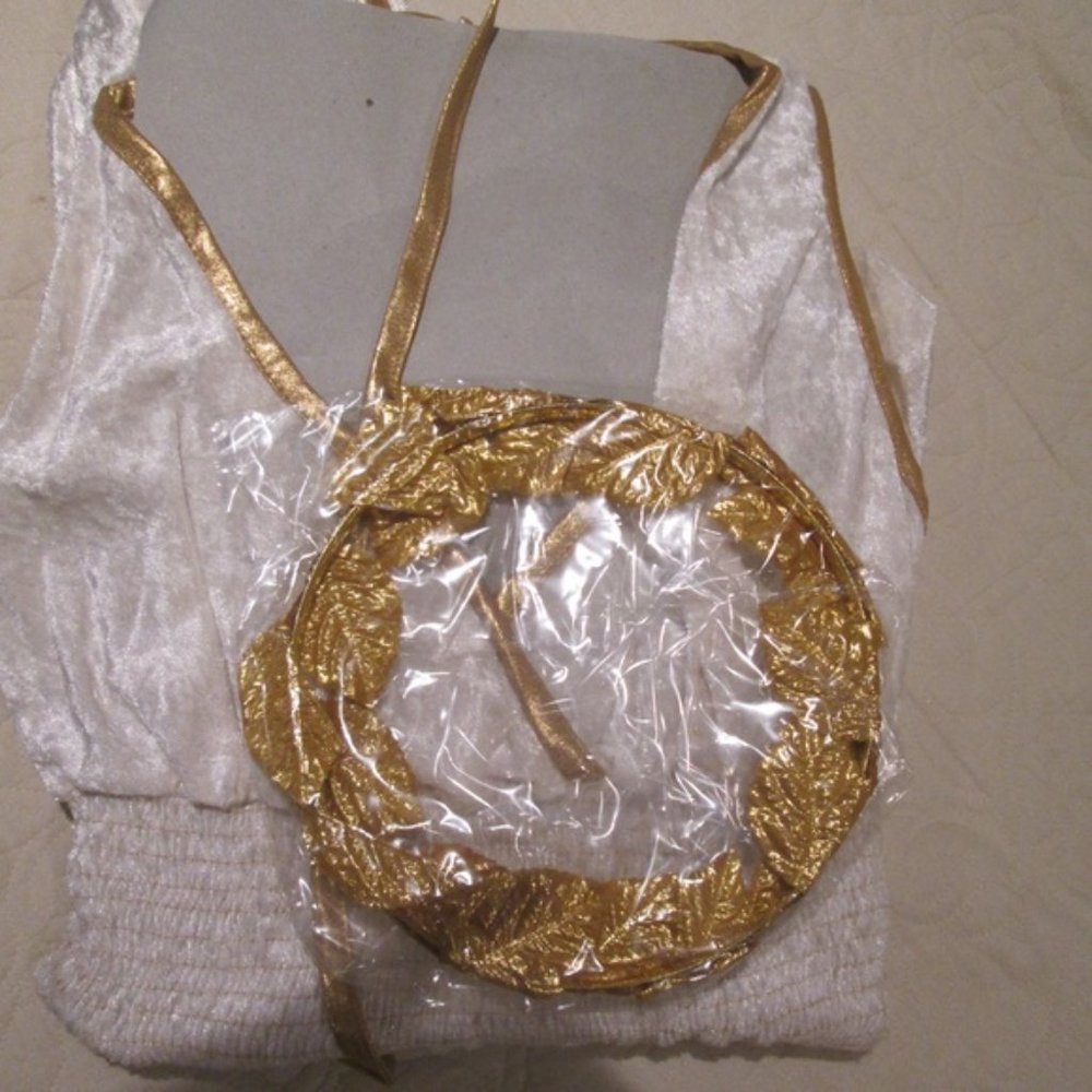 NWT Greek Roman Goddess Gown & Gold Leaf Headband Dress-up Costume Cosplay sz L